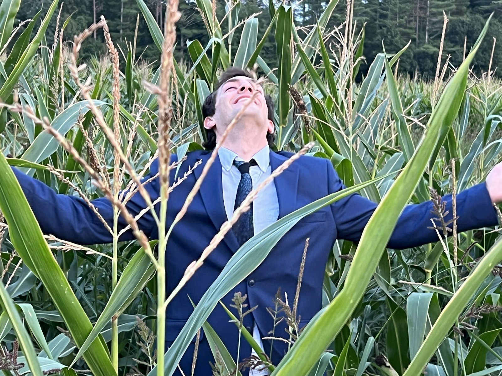 Max in a corn Field